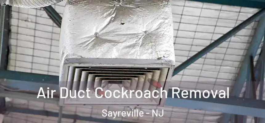  Air Duct Cockroach Removal Sayreville - NJ