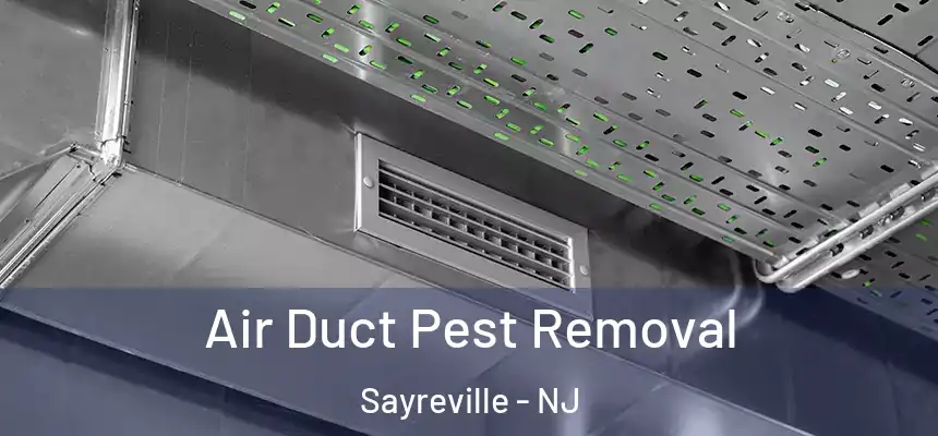 Air Duct Pest Removal Sayreville - NJ