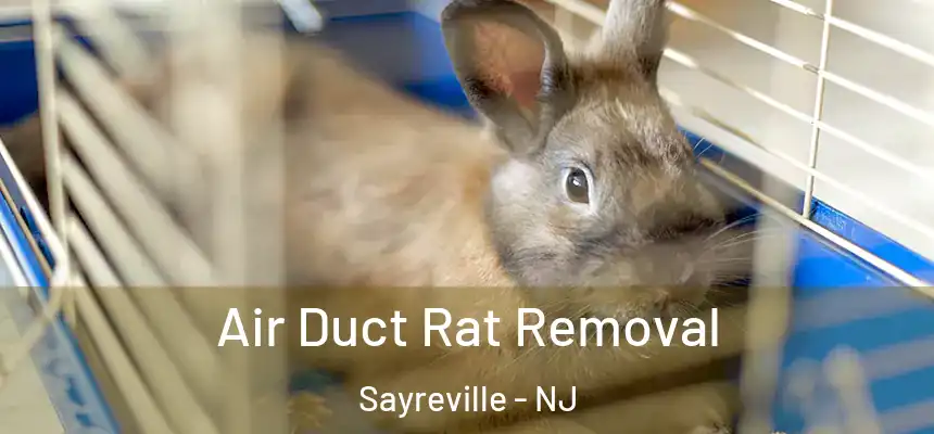  Air Duct Rat Removal Sayreville - NJ