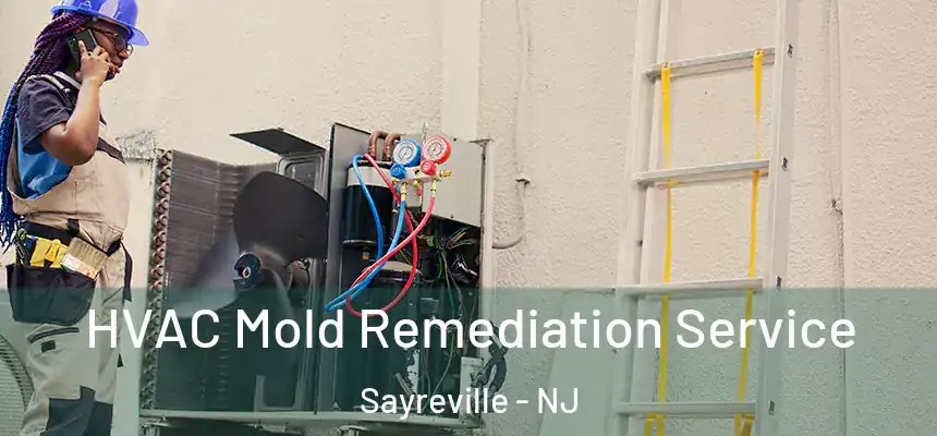 HVAC Mold Remediation Service Sayreville - NJ