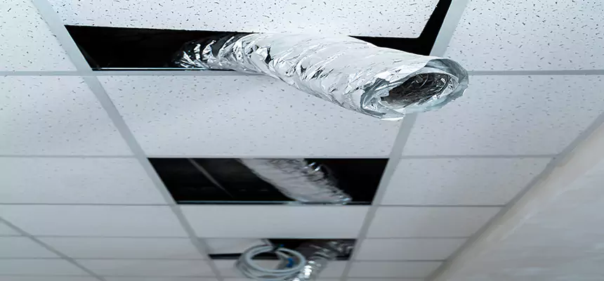 Affordable HVAC Sanitizing After Pest Removal in Sayreville