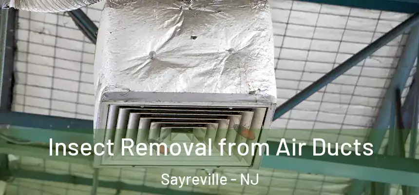 Insect Removal from Air Ducts Sayreville - NJ