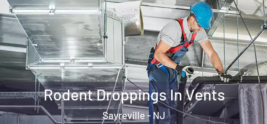 Rodent Droppings In Vents Sayreville - NJ