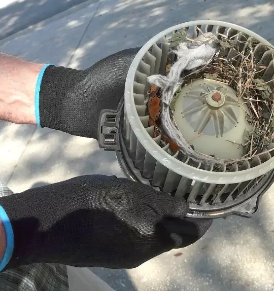 About Air Duct Mice Removal in Sayreville, NJ