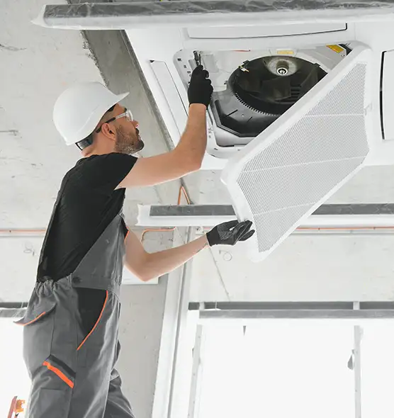 About Air Duct Rodent Removal in Sayreville, NJ