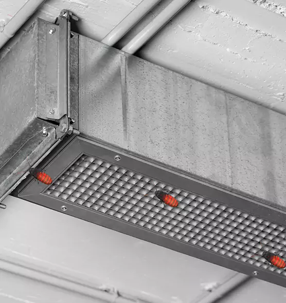 Affordable Insect Removal from Air Ducts in Sayreville, NJ