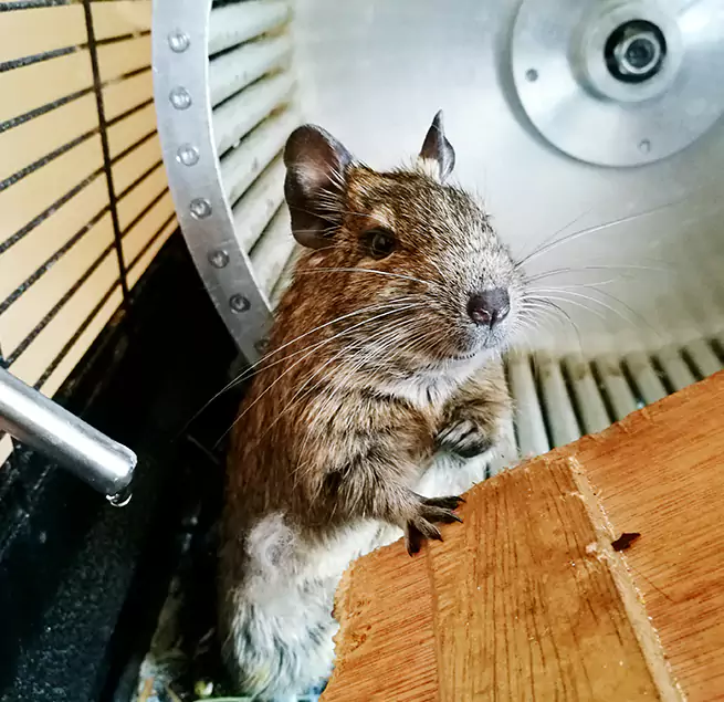 Why Homeowners & Businesses Trust Us Sayreville, NJ?